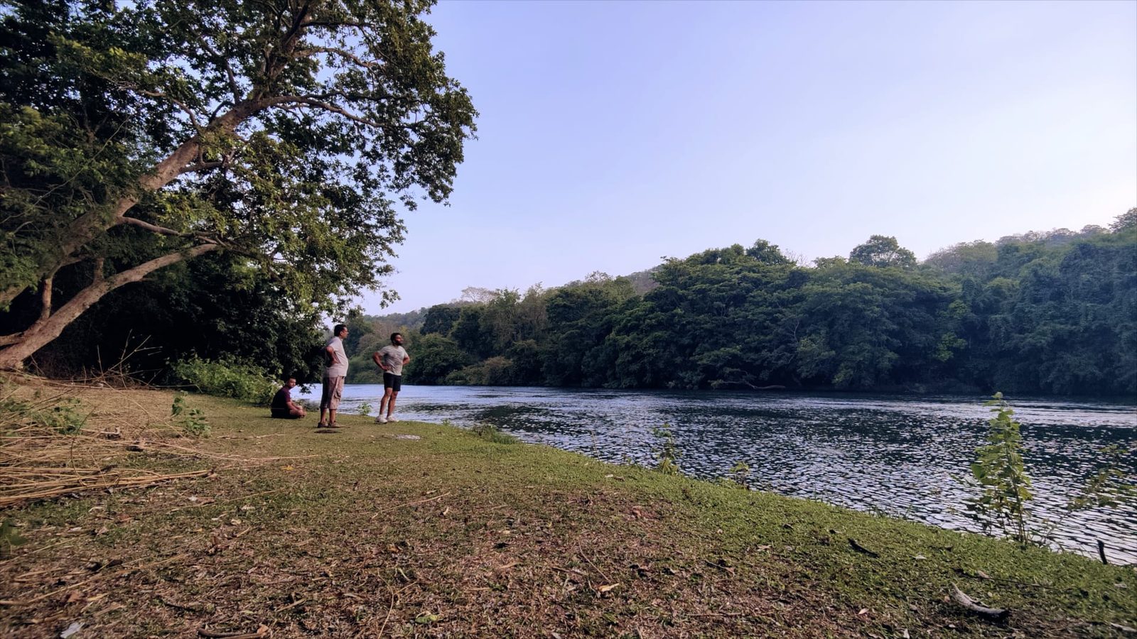 The Small Riverbank