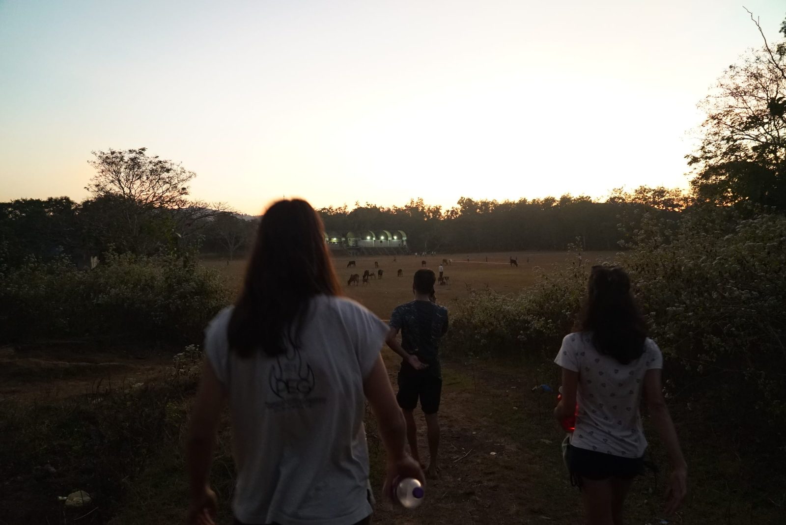 Cricket, Badminton & Pickleball