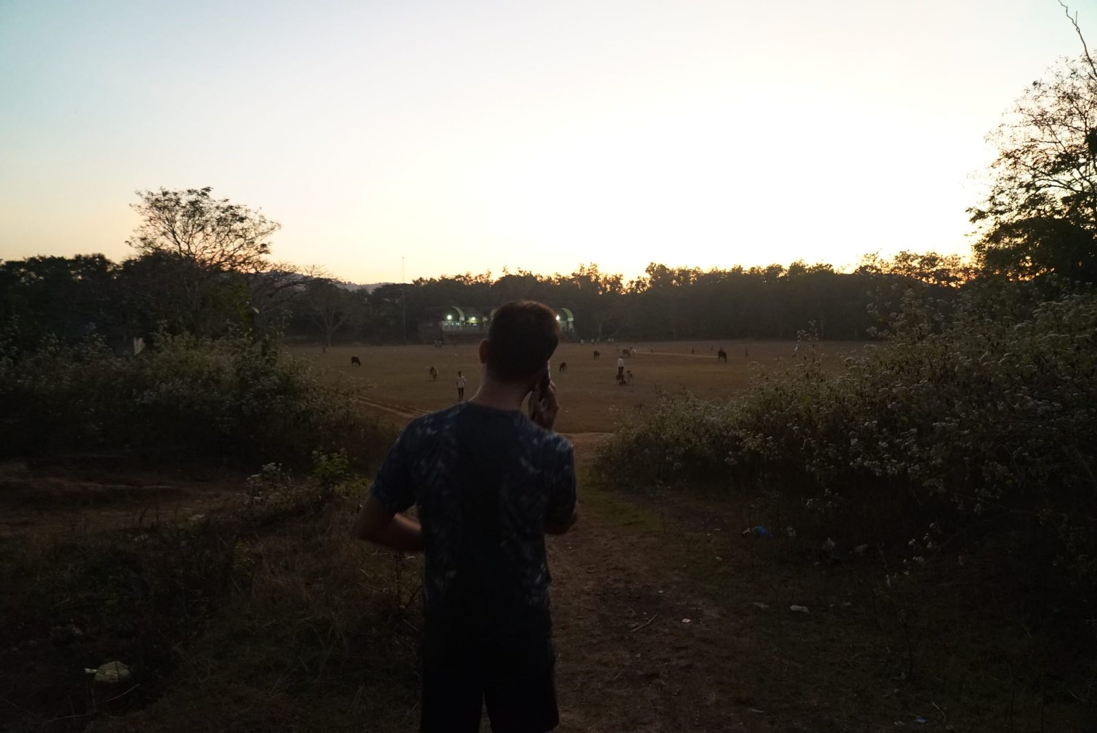 Cricket, Badminton & Pickleball