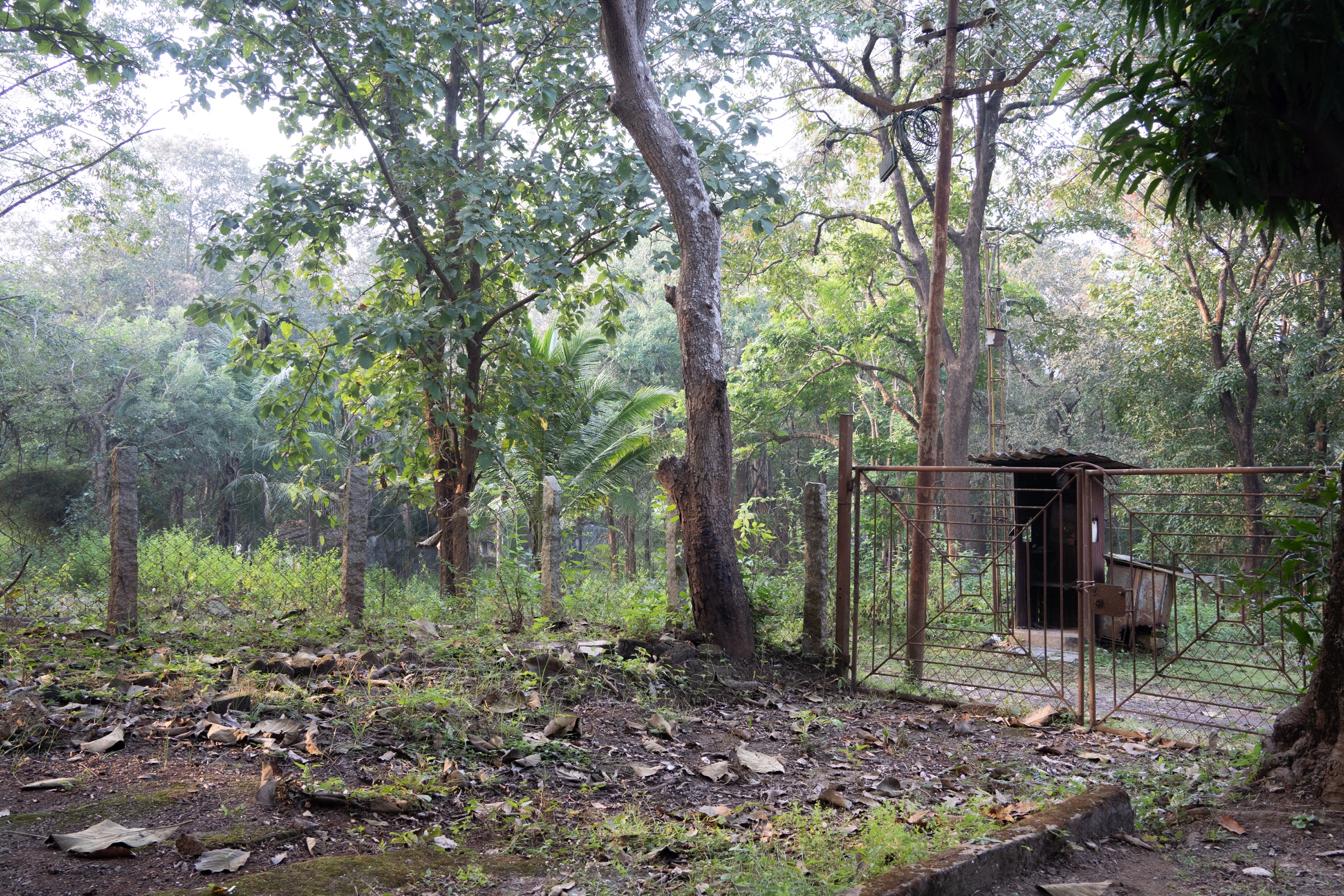 A Jungli villa